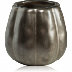 Paddywax Pumpkin Spice l&otilde;hnak&uuml;&uuml;nal 255 g