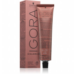 Schwarzkopf Professional IGORA Color 10 P&uuml;sijuuksev&auml;rv varjund 6-00 Dark Blonde Natural Extra 60 ml