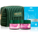 Weleda Wild Rose Radiance Ritual Kinkekomplekt kirgastava ja siluva efektiga