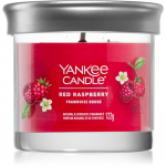 Yankee Candle Red Raspberry l&otilde;hnak&uuml;&uuml;nal 122 g