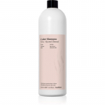 FarmaVita Backbar Color Niisutav &scaron;ampoon v&auml;rvi kaitseks 1000 ml