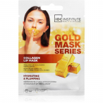 IDC Institute Gold Mask Series Niisutav huulemask 8 g