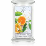 Kringle Candle Classic Citrus Blossom & Honey l&otilde;hnak&uuml;&uuml;nal 623 g