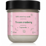 Tropicandle Frozen Cranberry l&otilde;hnak&uuml;&uuml;nal 170 ml