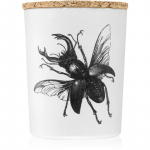 Vila Hermanos Insect Lucanus Cervus l&otilde;hnak&uuml;&uuml;nal 75 g