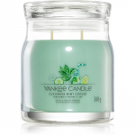 Yankee Candle Cucumber Mint Cooler l&otilde;hnak&uuml;&uuml;nal Signature 368 g