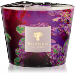 Baobab Collection Arty Flowers Water Lily l&otilde;hnak&uuml;&uuml;nal 500 g