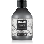 Black Professional Line Line Volume Up Shampoo Vol&uuml;&uuml;m&scaron;ampoon &otilde;hukestele juustele 300 ml