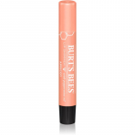 Burt&rsquo;s Bees Lip Shimmer Huulel&auml;ige varjund Apricot 2.6 g