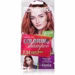 Delia Cosmetics Cameleo Coloring Shampoo Toniseeriv &scaron;ampoon juustele varjund 7.34 Sweet Toffee 40 ml
