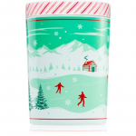 DW Home Scene & Stripes Cinnamon Gum Drops l&otilde;hnak&uuml;&uuml;nal 431 g