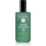 DW Home Cooling Eucalyptus Ruumipihusti 120 ml