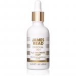 James Read Gradual Tan H2O Tan Drops Isepruunistavad tilgad kehale varjund Light/Medium 45 ml