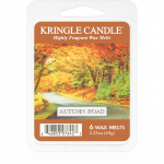Kringle Candle Autumn Road sulatusvaha 64 g