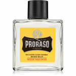 Proraso Wood and Spice Habemepalsam 100 ml