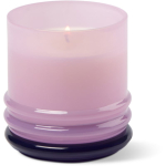 Paddywax Violet Vanilla l&otilde;hnak&uuml;&uuml;nal kaanega 198 g
