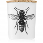 Vila Hermanos Insect Calabrone l&otilde;hnak&uuml;&uuml;nal 75 g