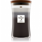 Woodwick Trilogy Warm Woods l&otilde;hnak&uuml;&uuml;nal puidust taht 609.5 g