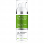 Bielenda Professional Acne Free ProExpert Korrigeeriv kreem probleemsele ja rasusele nahale 50 ml