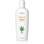 Cannaderm Capillus Anti-Dandruff Shampoo K&otilde;&otilde;mavastane &scaron;ampoon kanepi&otilde;liga 150 ml