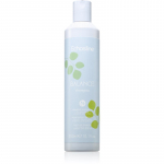 Echosline Balance Puhastav &scaron;ampoon k&otilde;&otilde;ma vastu 300 ml