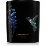 Vila Hermanos Jungletopia Hummingbird l&otilde;hnak&uuml;&uuml;nal 200 g
