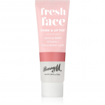 Barry M Fresh Face Vedel p&otilde;sepuna ja huulel&auml;ige varjund Summer Rose 10 ml