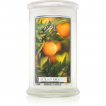 Kringle Candle Sicilian Orange l&otilde;hnak&uuml;&uuml;nal 624 g