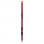 Mesauda Artist Lips Huulepliiats varjund 107 Mauve 1.14 g
