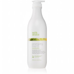 milk_shake&reg; Scalp Care Energizing Blend Energiat andev palsam &otilde;hukestele, &otilde;henevatele ja habrastele juustele parabeenivaba 1000 ml