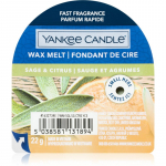 Yankee Candle Sage & Citrus sulatusvaha 22 g