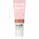 Barry M Fresh Face Vedel p&otilde;sepuna ja huulel&auml;ige varjund Caramel Kiss 10 ml