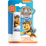 Nickelodeon Paw Patrol Lip Balm Huulepalsam maasikamaitseline 4 g