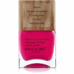 Nails Inc. Plant Power Kauap&uuml;siv k&uuml;&uuml;nelakk varjund Mindfulness Mantra 14 ml