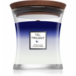 Woodwick Trilogy Evening Luxe l&otilde;hnak&uuml;&uuml;nal 275 g