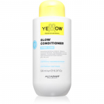 Yellow Professional Hydra Care Glow Conditioner Niisutav palsam k&otilde;igile juukset&uuml;&uuml;pidele 500 ml