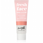 Barry M Fresh Face Vedel p&otilde;sepuna ja huulel&auml;ige varjund Peach Glow 10 ml