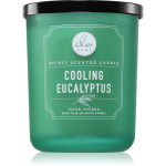 DW Home Signature Cooling Eucalyptus l&otilde;hnak&uuml;&uuml;nal 425 g