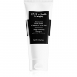 Hair Rituel by Sisley Gentle Purifying Shampoo &Otilde;rn &scaron;ampoon peanahale 200 ml