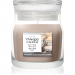 Yankee Candle Seaside Woods l&otilde;hnak&uuml;&uuml;nal Signature 110 g