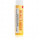 Burt&rsquo;s Bees Lip Care Niisutav huulepalsam (with Coconut & Pear) 4.25 g