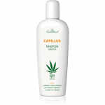 Cannaderm Capillus Seborea Shampoo Taime&scaron;ampoon &auml;rritunud peanahale 150 ml