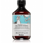 Davines Naturaltech Well-Being Shampoo &Scaron;ampoon k&otilde;igile juukset&uuml;&uuml;pidele 250 ml