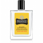 Proraso Wood and Spice Niisutav raseerimisj&auml;rgne palsam 100 ml