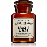 Paddywax Apothecary Sea Salt & Sage l&otilde;hnak&uuml;&uuml;nal 226 g