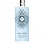 Vivian Gray Aroma Selection Amber & Cedar Du&scaron;i- ja vannigeel 500 ml