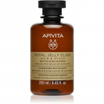 Apivita Royal Jelly Elixir Revitalizing Shampoo Elavdav vananemisvastane &scaron;ampoon 250 ml