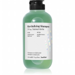 FarmaVita Backbar Revitalizing Niisutav ja elavdav &scaron;ampoon 250 ml