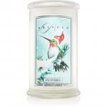 Kringle Candle Snowbird l&otilde;hnak&uuml;&uuml;nal 624 g