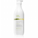milk_shake&reg; Scalp Care Energizing Blend Energiat andev &scaron;ampoon &otilde;hukestele, &otilde;henevatele ja habrastele juustele 1000 ml